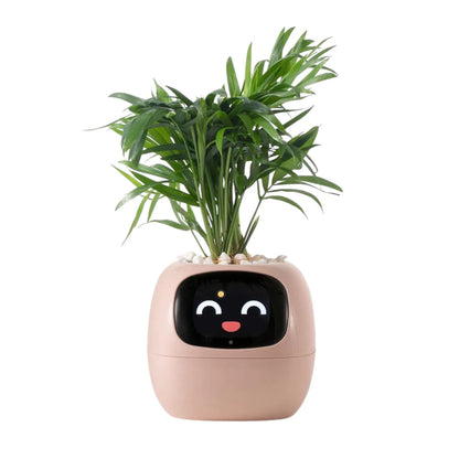 Ivy Smart Pot