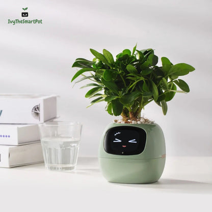 Ivy Smart Pot